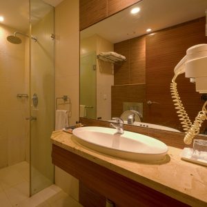 Celesta Hotel is the Best 4 Star Boutique Hotel Near Kolkata Airport - Celesta